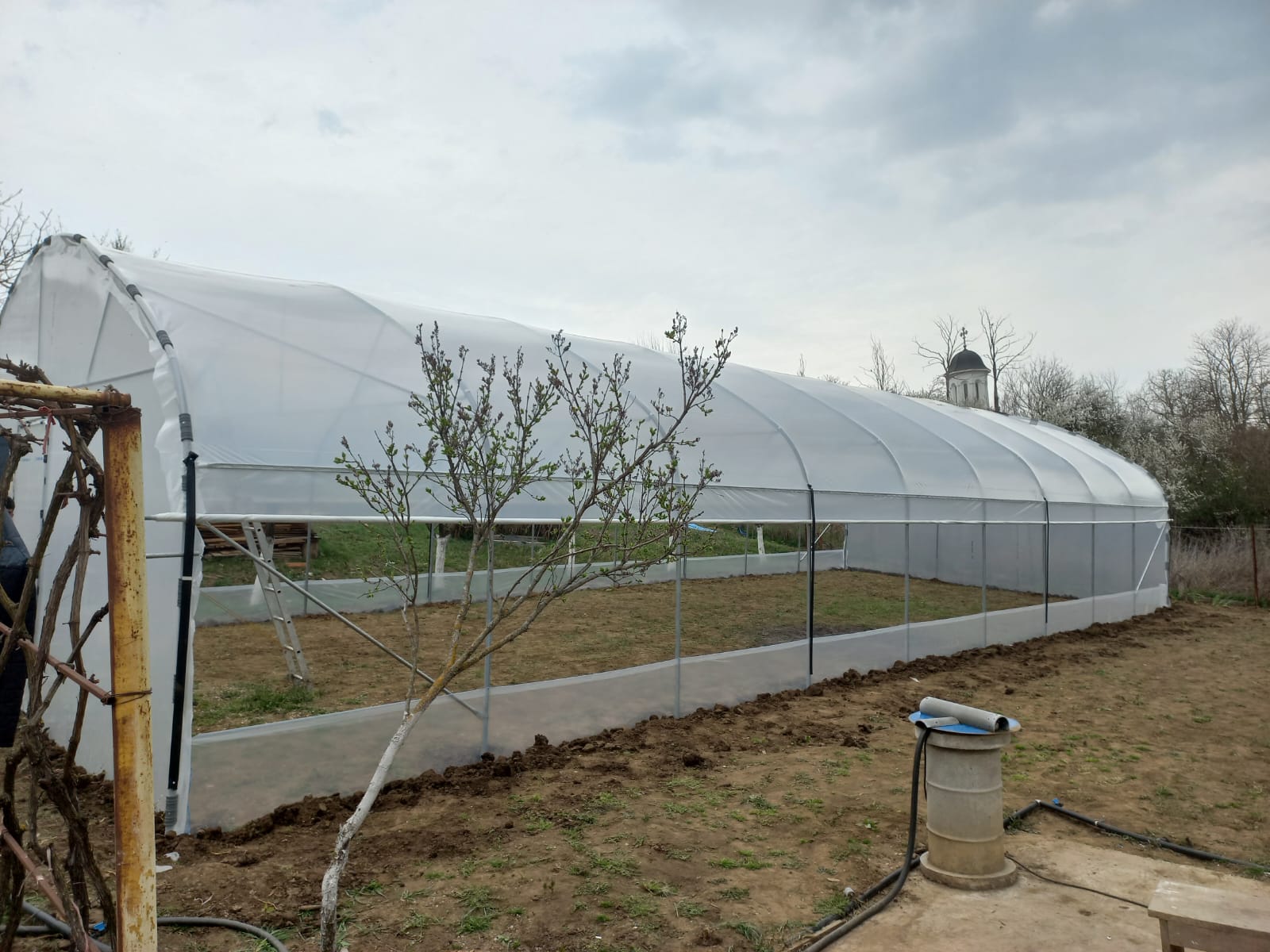 Solar 7m - imagine 6